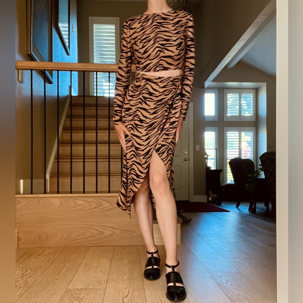 Reformation Maurita Tiger Stripe Print Dress - Picture 11 of 12
